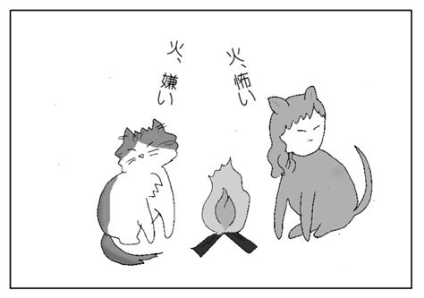 火 動物|動物が火を怖がるという定説は嘘？火を使う事で別れた進化 